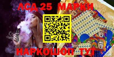амф Сланцы