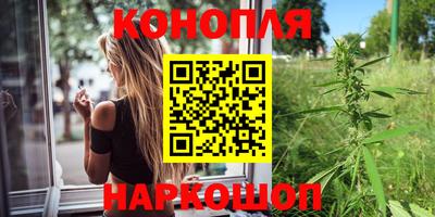 амф Сланцы