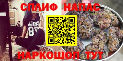 амф Сланцы