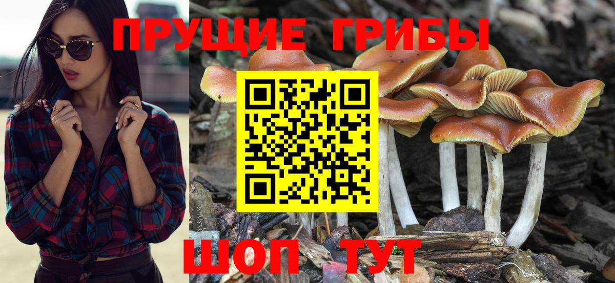 Галлюциногенные грибы Magic Shrooms Нижневартовск